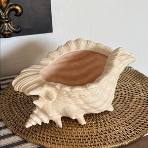 💎RARE💎Gorgeous Vintage Large Atlantic Mold Ceramic Conch Shell Container/Planter